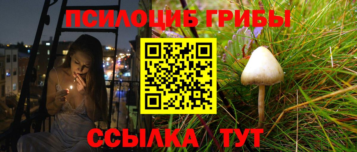 Галлюциногенные грибы Psilocybe  Вход с VPN  Галлюциногенные грибы прущие грибы  Кирово-Чепецк 