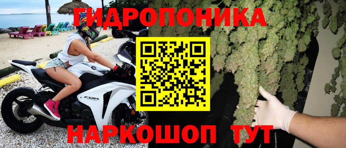 Бошки Шишки OG Kush  Бошки Шишки планчик  Канабис ГИДРОПОН  Вход с VPN  Кирово-Чепецк 